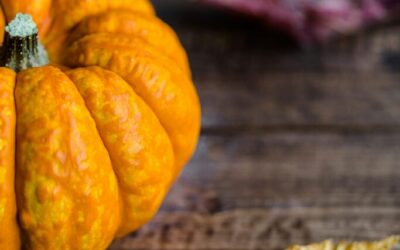 Reframing Thanksgiving When You’re in Eating Disorder Recovery