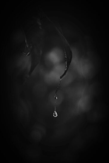 It’s Okay to Grieve Your Eating Disorder